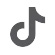 tiktok icon